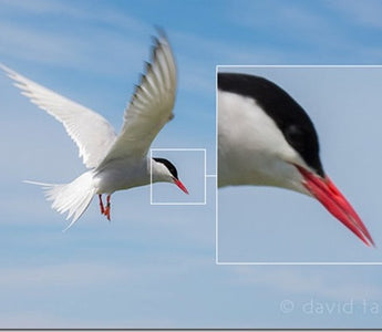 5 Common Photographic Mistakes to Avoid
