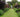 Hidcote Manor Gardens; A visit to an Arts and Crafts English Garden