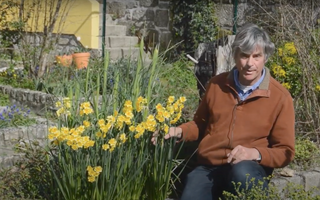 Episode 9: Spring Bulbs with Dr. Noel Kingsbury