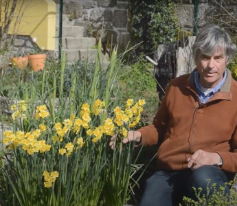Episode 9: Spring Bulbs with Dr. Noel Kingsbury
