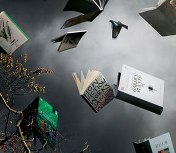 Top Gardening Books for Christmas