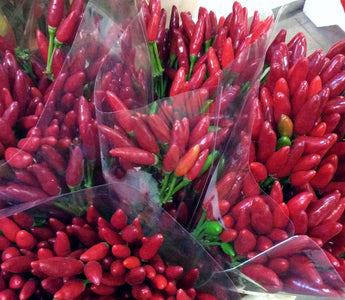 Christmas Floral decoration: what’s around?