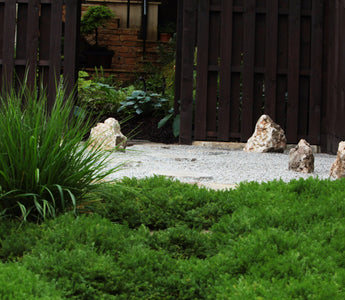 How to make a Japanese Garden