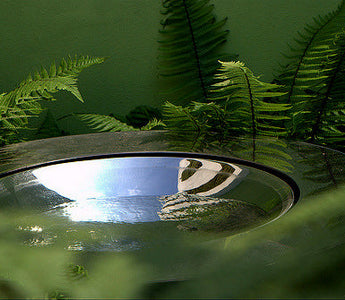 Planting in shade; a simple scheme for a shady garden