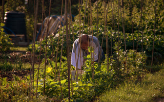 What Can I Plant in October