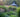 Garden Ideas:  Designing with ornamental grasses