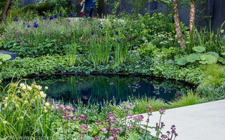 Chelsea Flower Show 2014:  No Man's Land by Charlotte Rowe