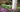 Late Summer: Time To Order Bulbs