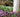 Late Summer: Time To Order Bulbs