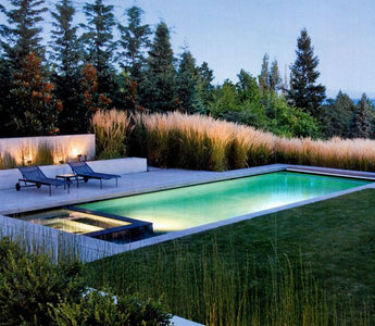 10 Swimming Pool Design Tips