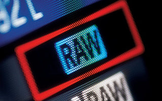Raw Crash Course - Get Started Today!