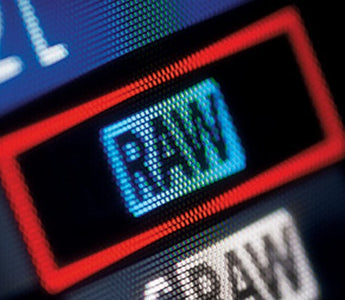Raw Crash Course - Get Started Today!
