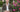 An indepth interview with Michael Marriott, David Austin Roses