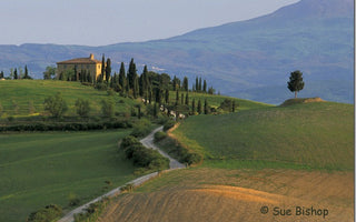 Composition: Lead-in Lines in Landscape Photography