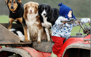 Fun New Ways to Shoot Children and Pets
