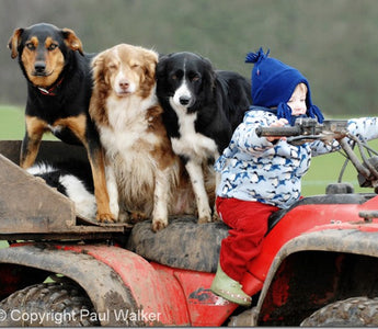 Fun New Ways to Shoot Children and Pets