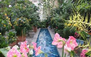 America's Best Botanical Gardens