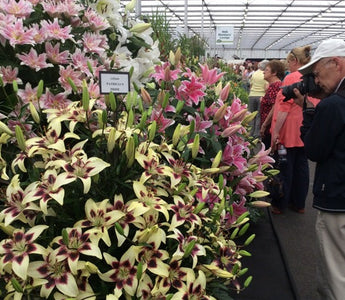 A Behind-the-scenes Look At The World's Top Flower Show