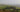 The Tropic of Dorset &ndash; A visit to Abbotsbury Gardens