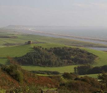 The Tropic of Dorset &ndash; A visit to Abbotsbury Gardens