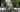 Behind the scenes at RHS Chelsea Flower Show 2015