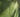 Seasonal Lawn Care; Removing Dead Grass