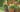 Container Gardening with Harriet Rycroft, Whichford Pottery