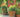 Container Gardening with Harriet Rycroft, Whichford Pottery