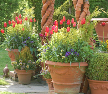 Container Gardening with Harriet Rycroft, Whichford Pottery