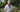 Episode 13: Collecting your own seeds with Dr Noel Kingsbury