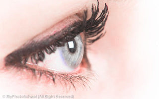 Macro Photography: A Beginners Guide
