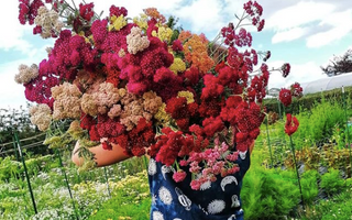 "The Art of Environmental Floristry has changed every way that I look at flowers"