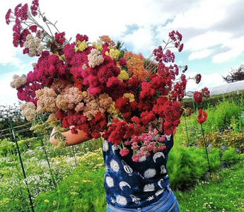 "The Art of Environmental Floristry has changed every way that I look at flowers"