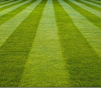 Lawns: How to Lay Turf/Sod