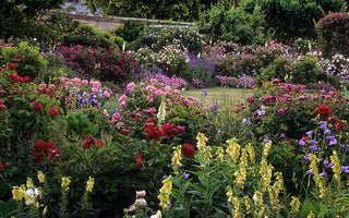 10 Best UK Gardens to Visit