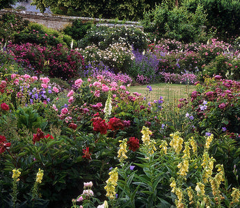 10 Best UK Gardens to Visit