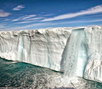 Thought Provoking Photography for Change