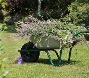 What to look for when buying a wheelbarrow