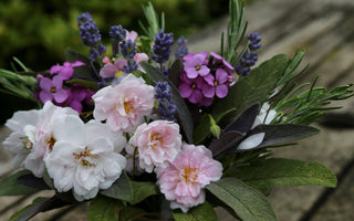 Summer Foliage For Flower Arranging