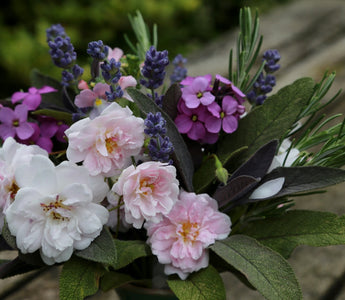 Summer Foliage For Flower Arranging