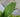 Weapons of Gnat Destruction: The Ultimate Guide to Killing Fungus Gnats