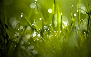 Bokeh Explained