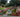 Compton Acres: An Historic Garden Restored