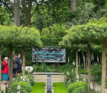 Highlights from RHS Chelsea Flower Show 2022