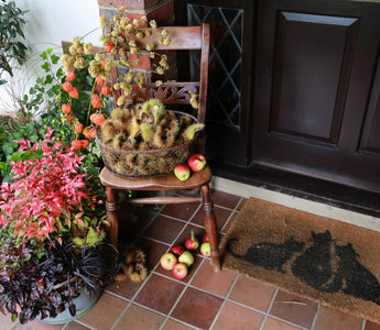 A few ideas for a fabulous fall porch