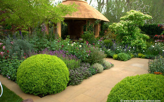 Chelsea Flower Show 2013; Favourite Show Gardens