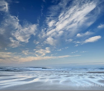 How to Use a Polarising Filter