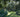 Top Tips for Creating Large Gardens