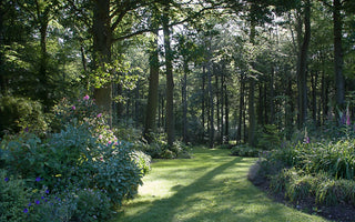 Top Tips for Creating Large Gardens