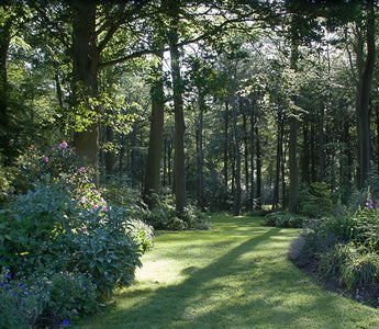 Top Tips for Creating Large Gardens